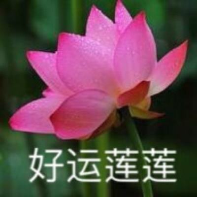 我开坦克最牛手游下载
